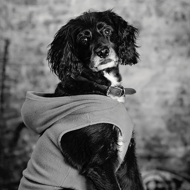 home-s5-1-bw
